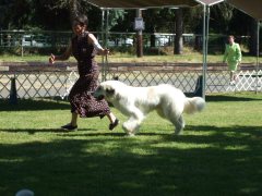 DSCF1487