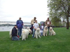 DSCF1286.jpg