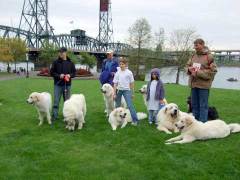 DSCF1293.jpg