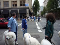 portland3.jpg