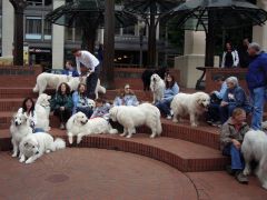 portland4.jpg