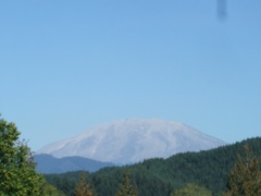 DSCF3559