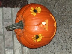 DSCF3661