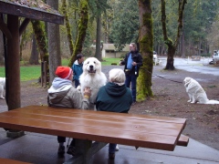 Poetry in the Park