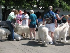 IMG_1889