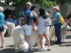 IMG_1890