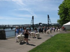 IMG_1904