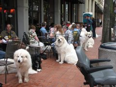 IMG_2276.JPG