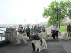 Img_2256.jpg