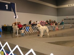 DSCN6157