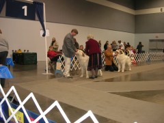 DSCN6166