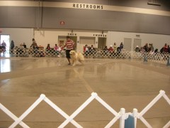 DSCN6170