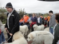 Pyr5.jpg