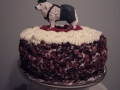 cake.jpg