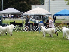 GroupPrySpecialty2012