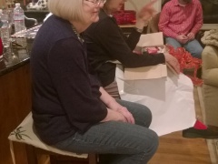 WP_20141213_19_29_39_Pro