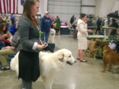 WP_20140329_14_07_48_Pro