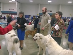 WP_20140329_14_08_23_Pro