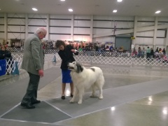 WP_20140329_14_18_30_Pro