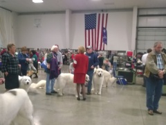 WP_20140329_14_19_09_Pro