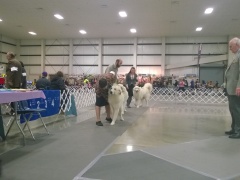 WP_20140329_14_19_58_Pro