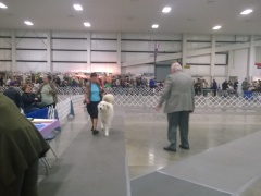 WP_20140329_14_25_22_Pro