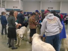 WP_20140329_14_36_37_Pro