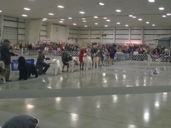 WP_20140329_16_20_16_Pro