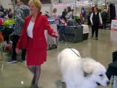 WP_20140329_16_21_57_Pro