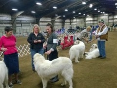 WP_20140330_08_17_01_Pro