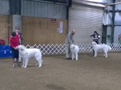 WP_20140330_08_38_51_Pro