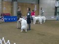 WP_20140330_08_41_55_Pro