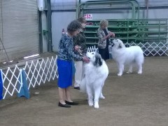 WP_20140330_08_52_53_Pro