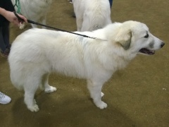 WP_20140330_08_56_19_Pro