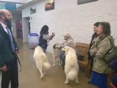 WP_20140222_11_38_09_Pro