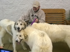 WP_20140222_11_38_43_Pro