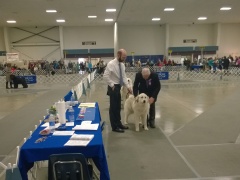 WP_20140222_13_18_37_Pro