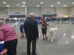 WP_20140222_13_20_19_Pro