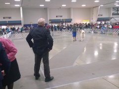 WP_20140222_13_21_16_Pro