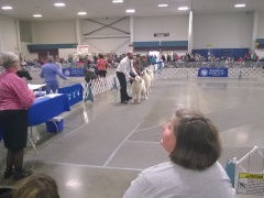 WP_20140222_13_22_26_Pro