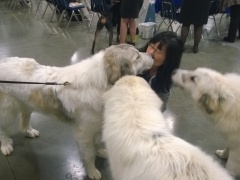 WP_20140222_13_34_34_Pro