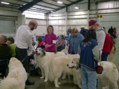 WP_20140223_10_11_12_Pro