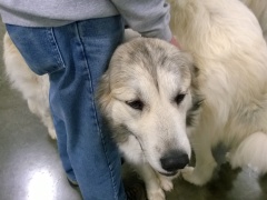 WP_20140223_10_11_41_Pro