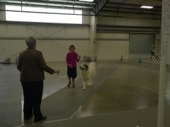 WP_20140223_10_43_53_Pro