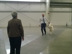 WP_20140223_10_46_39_Pro