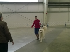 WP_20140223_10_47_48_Pro