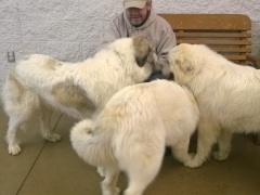 WP_20140222_11_38_37_Pro