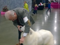 WP_20150116_08_15_53_Pro