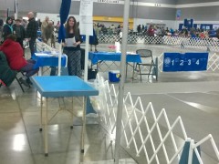 WP_20150116_10_33_01_Pro