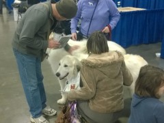 WP_20150116_10_17_14_Pro